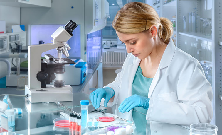 Echtzeit-PCR-Platte ist ein beliebtes Labor-Einweg-Verbrauchs material, das in der Anwendung in Bezug auf Medizin, Genetik, Immunität und Biochemie weit verbreitet ist